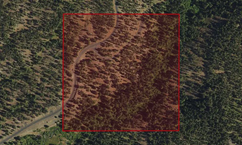 Tex Bridge Geological Area