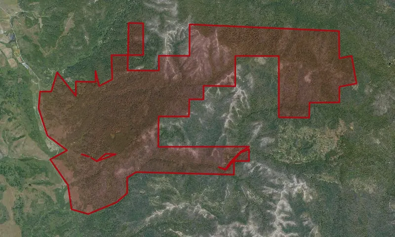 Butano State Park