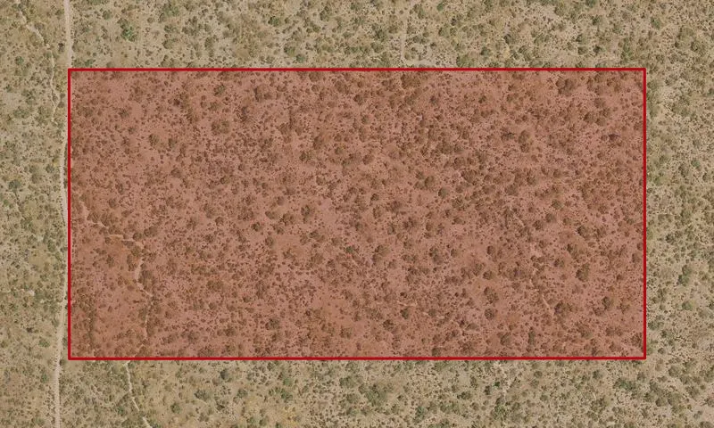 216-59-003A