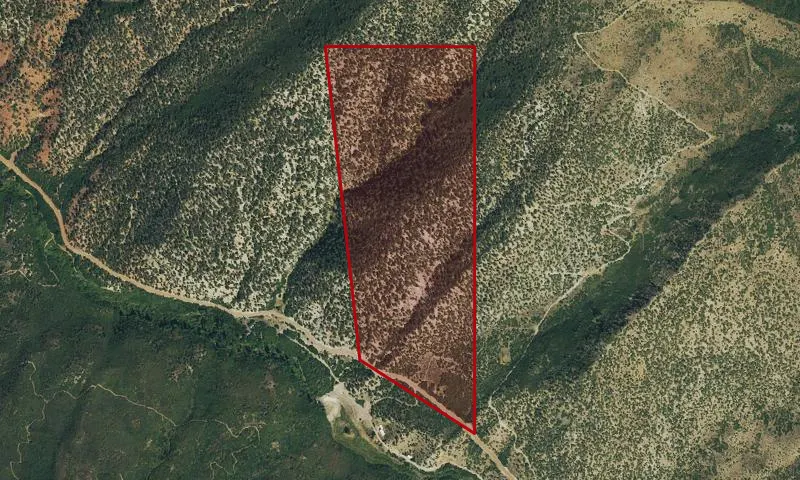 Schoellkopf