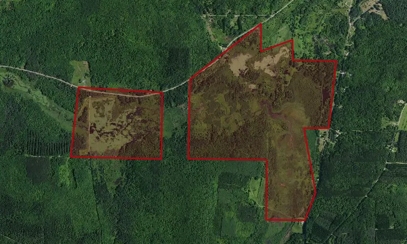 Keeney Swamp Wma