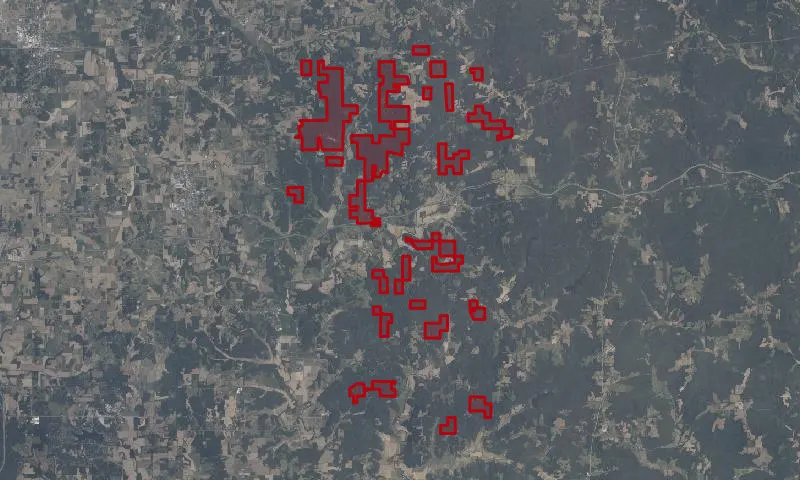 Ferdinand State Forest