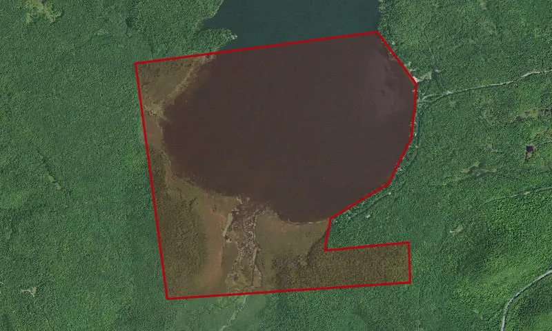 Chazy Highlands Wma